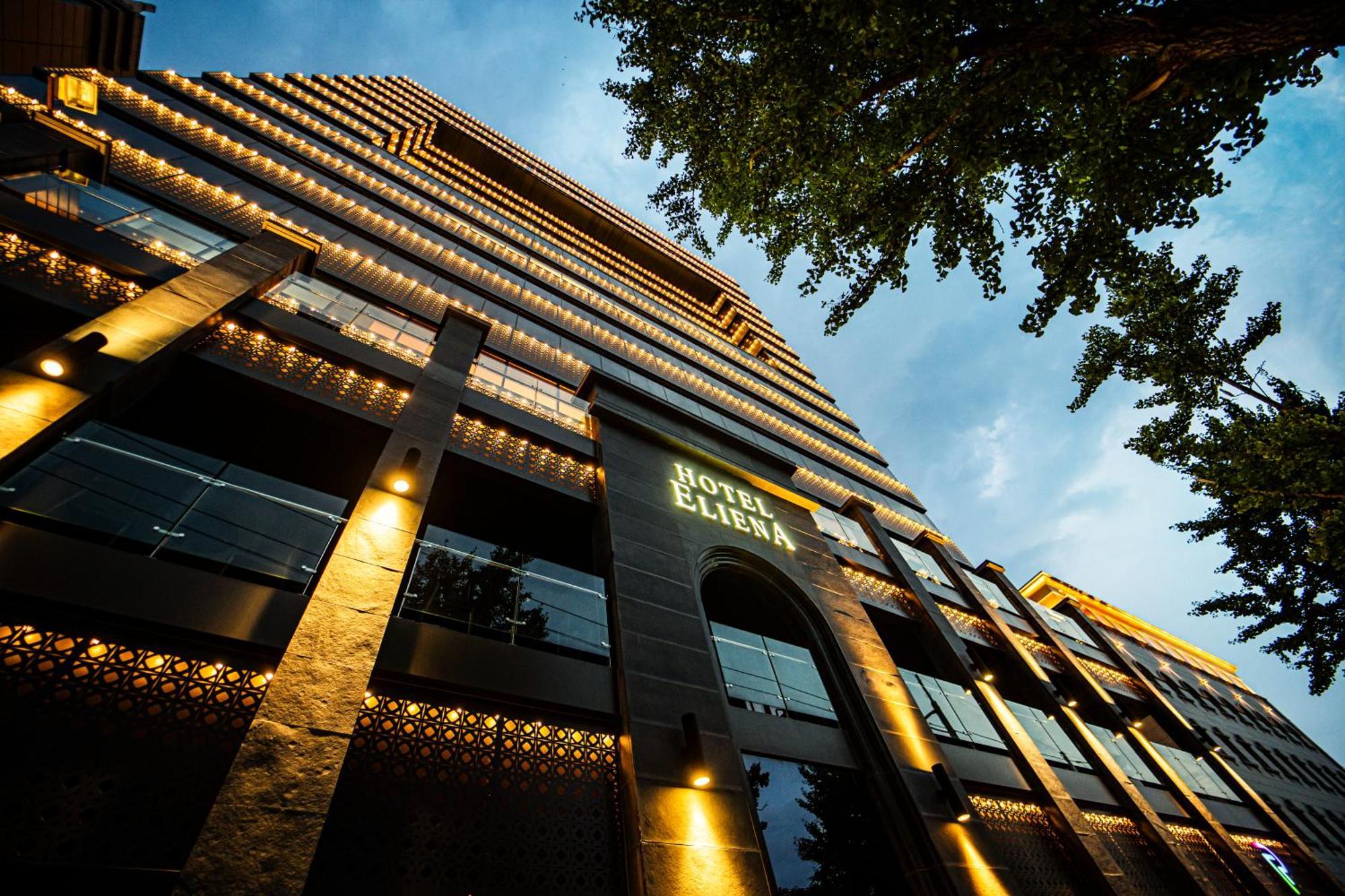 Eliena Hotel Seoul Gangnam Exteriér fotografie